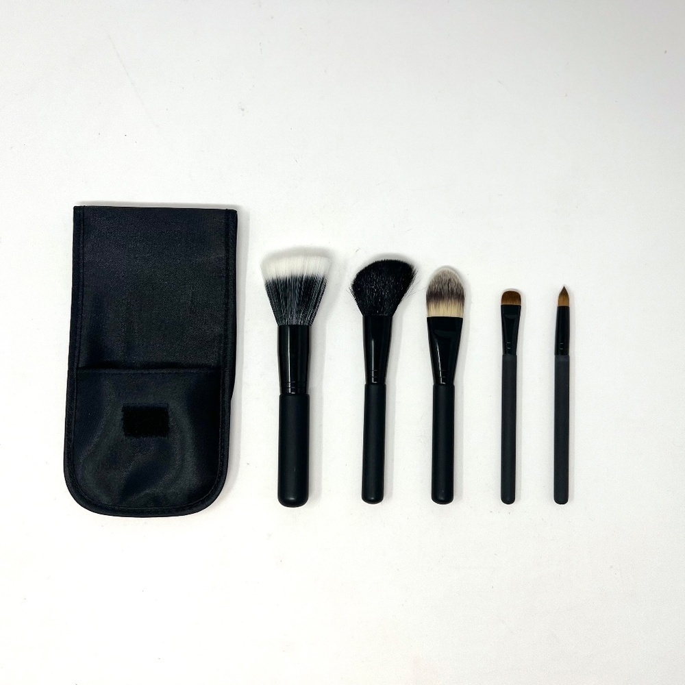 Face and Eye  Makeup Brush Set & Carry Bag New in box -  5  brush Travel set NEW